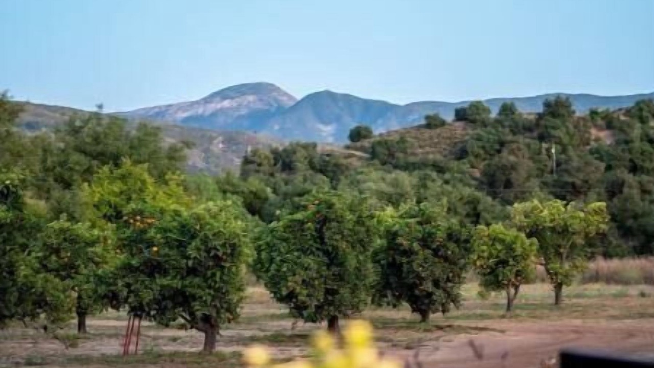 Photo of Outdoor in Pauma Valley
