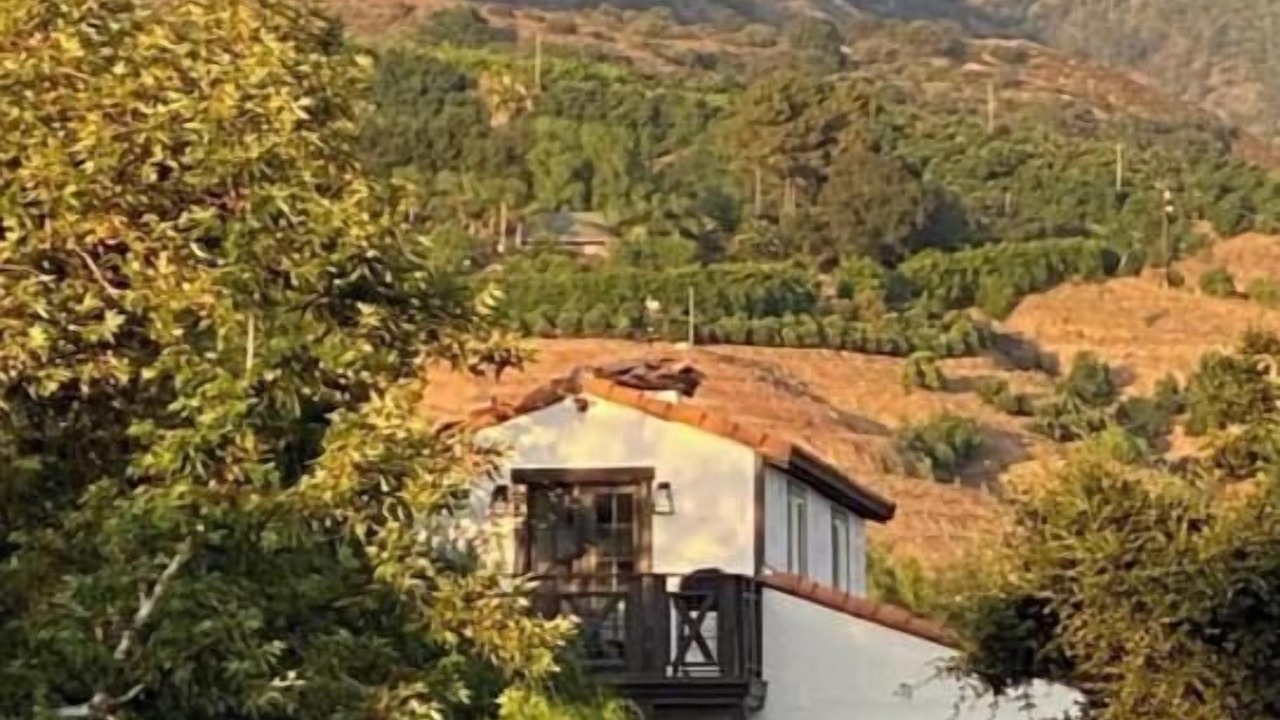 Photo of Outdoor in Pauma Valley