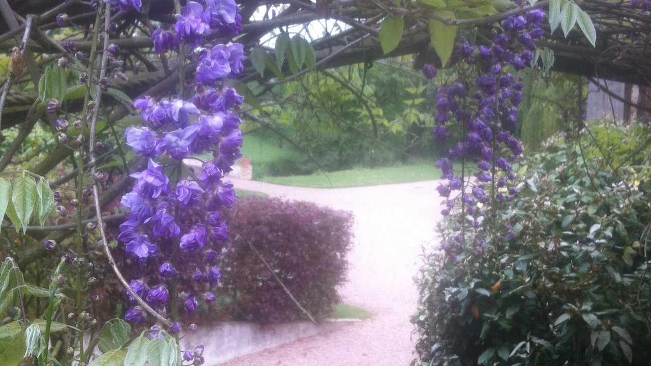 Photo of Outdoor in Ernes