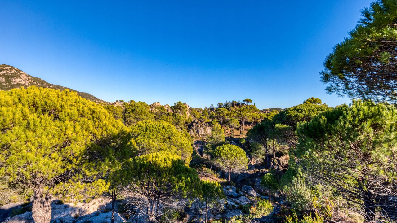 Photo of Others in Moureze