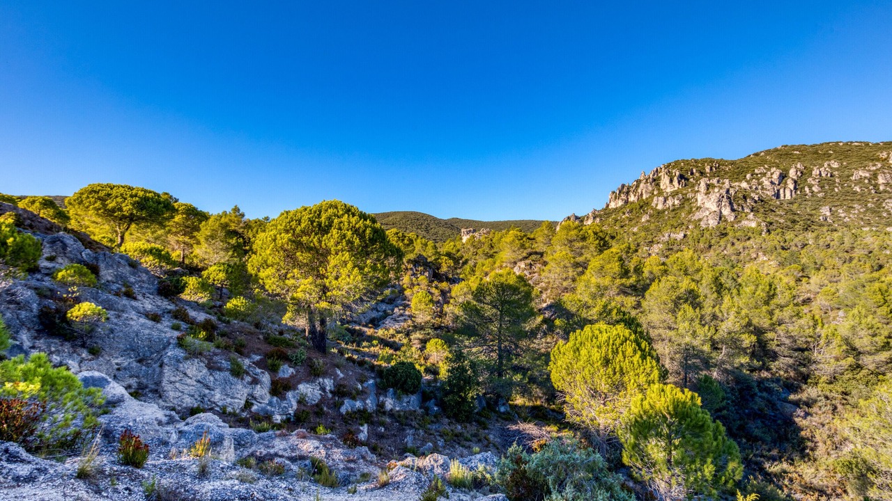 Photo of Others in Moureze