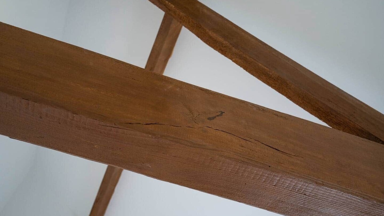 Photo of Others in Carlton Colville