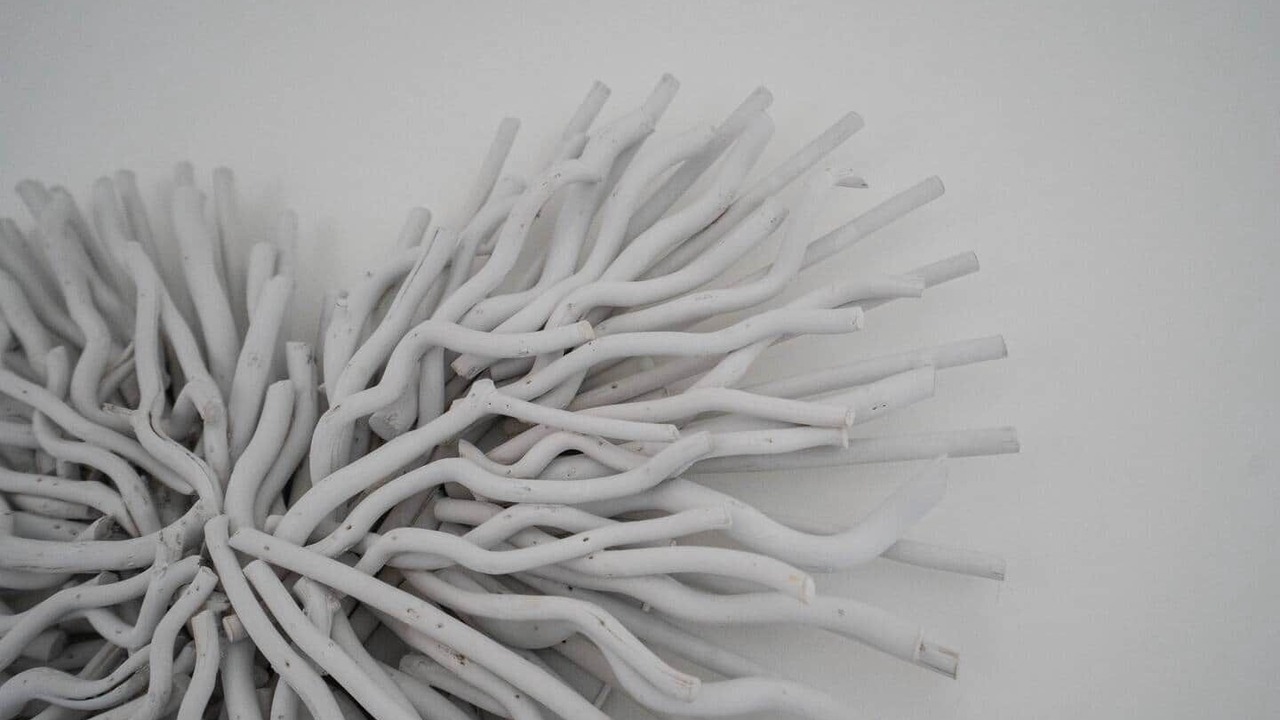 Photo of Others in Carlton Colville