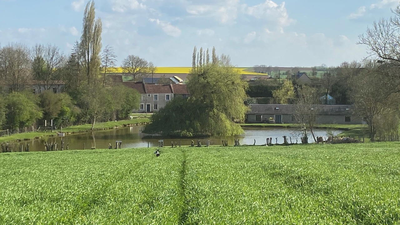 Photo of Others in Ernes