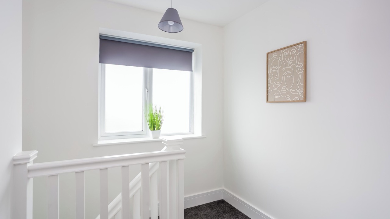 Photo of Others in Durham