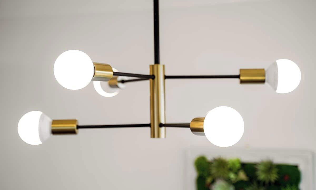 Photo of Others in Pacifica