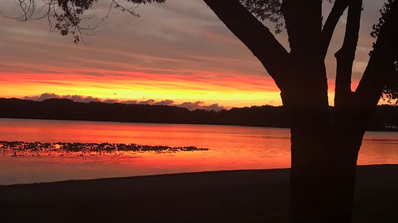 Photo of Others in La Porte