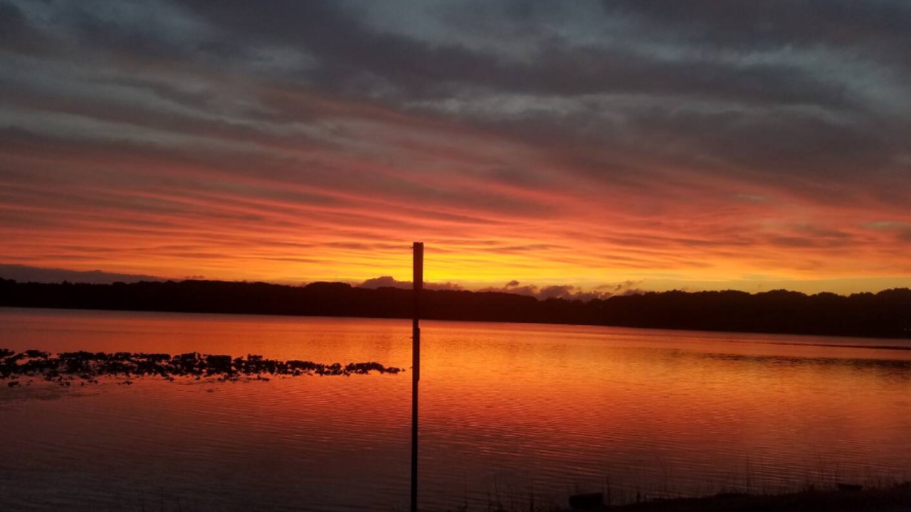 Photo of Others in La Porte