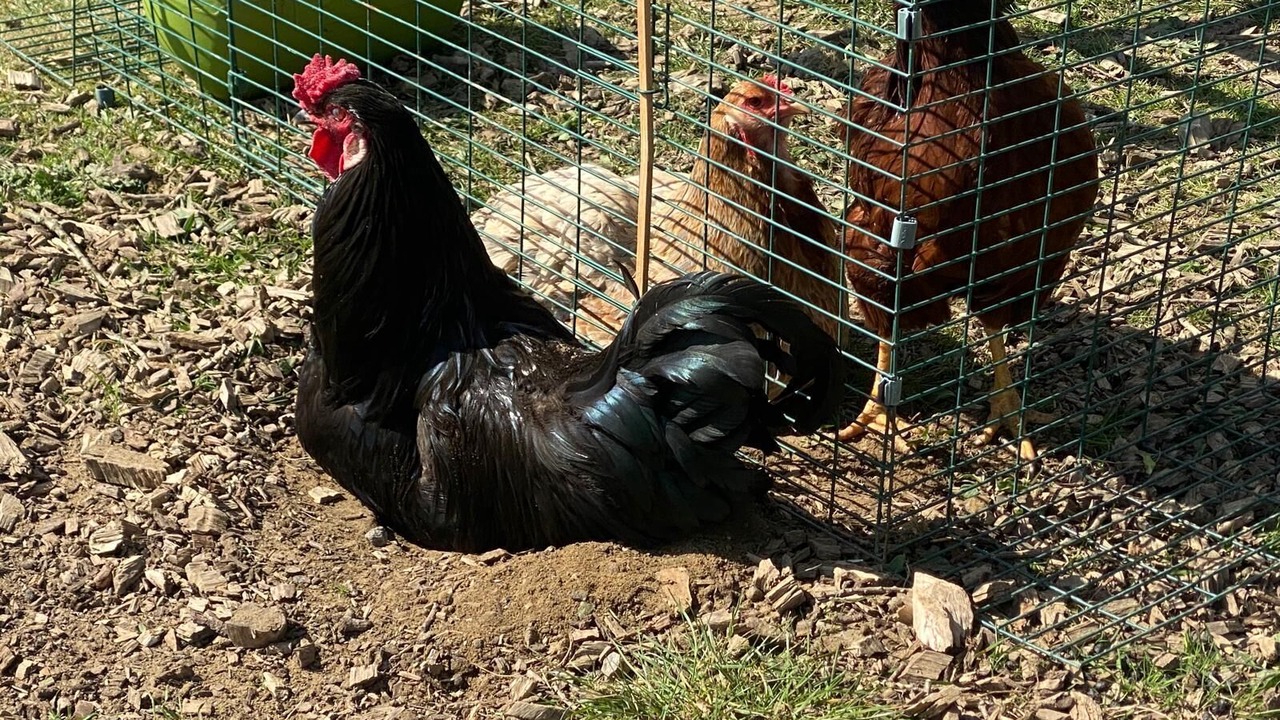 Photo of Others in Ashford