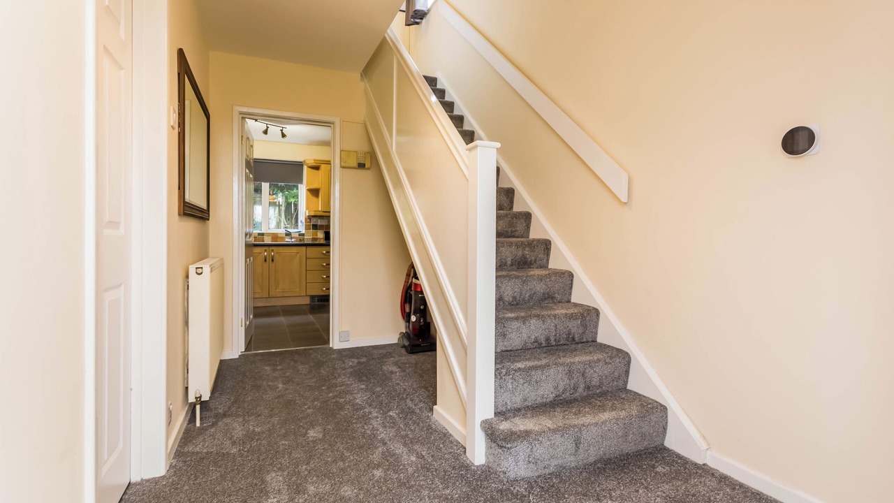 Photo of Others in Durham