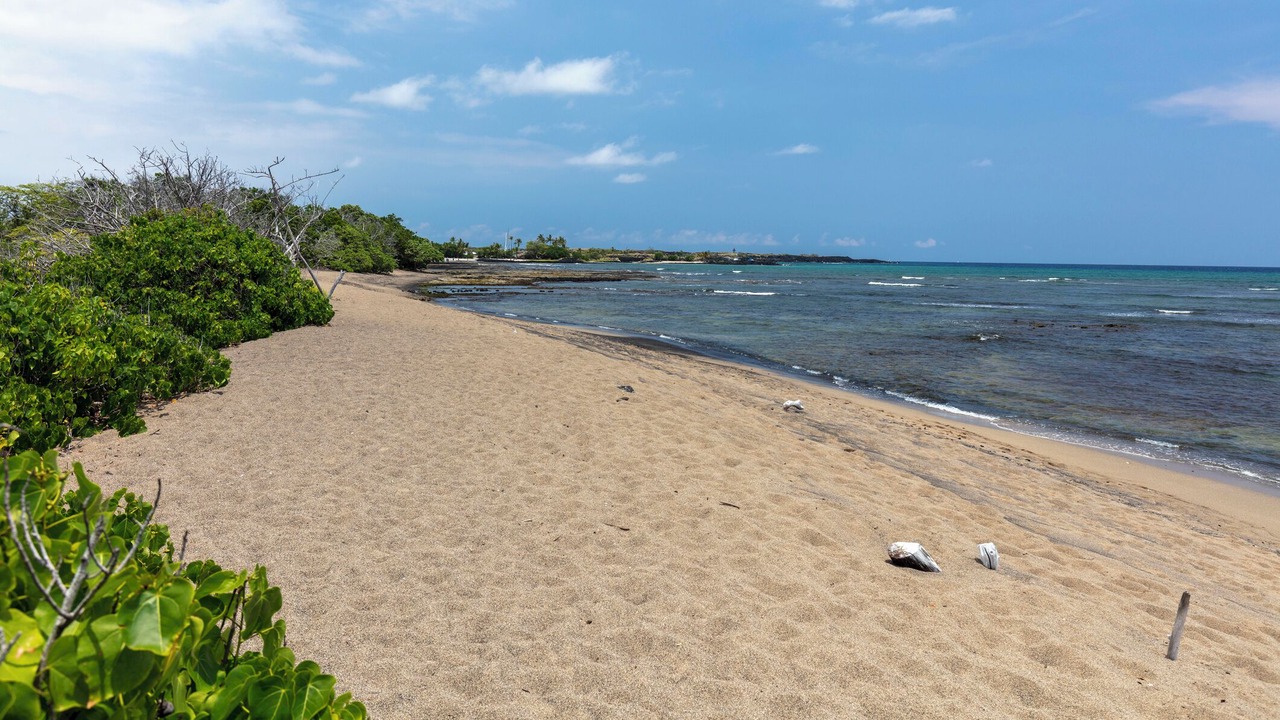 Photo of Others in Historic Kailua Village
