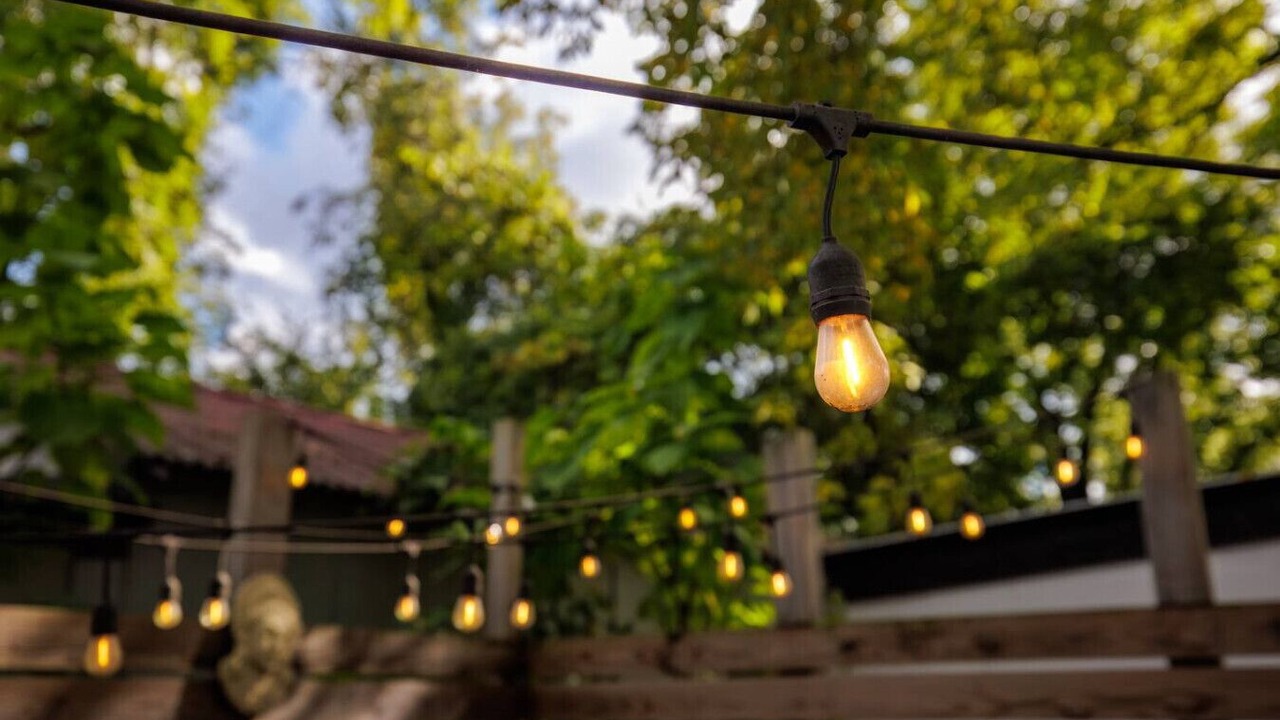 Photo of Outdoor in Charlottesville