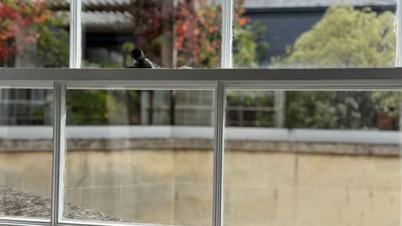 Photo of Others in Bath