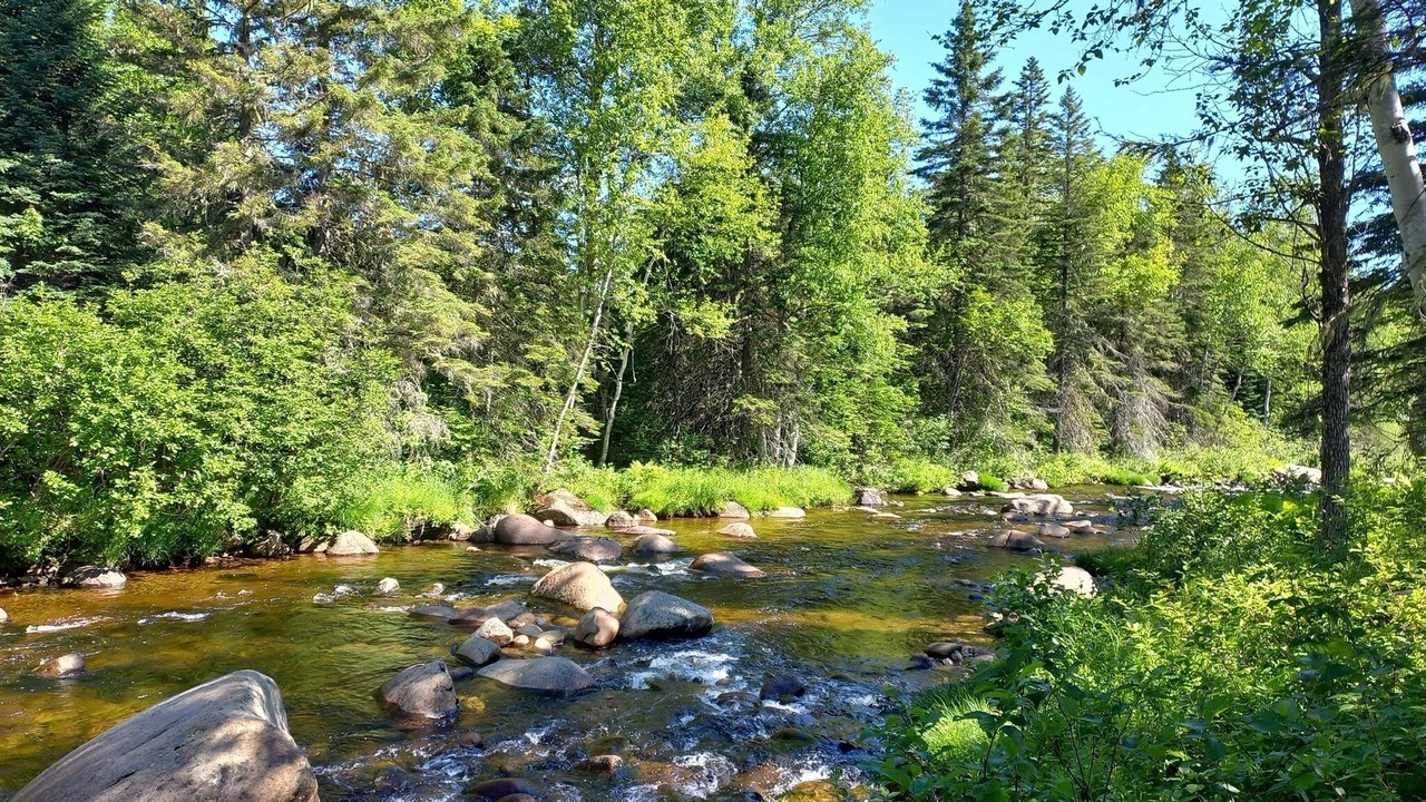 Photo of Others in Baie-St-Paul