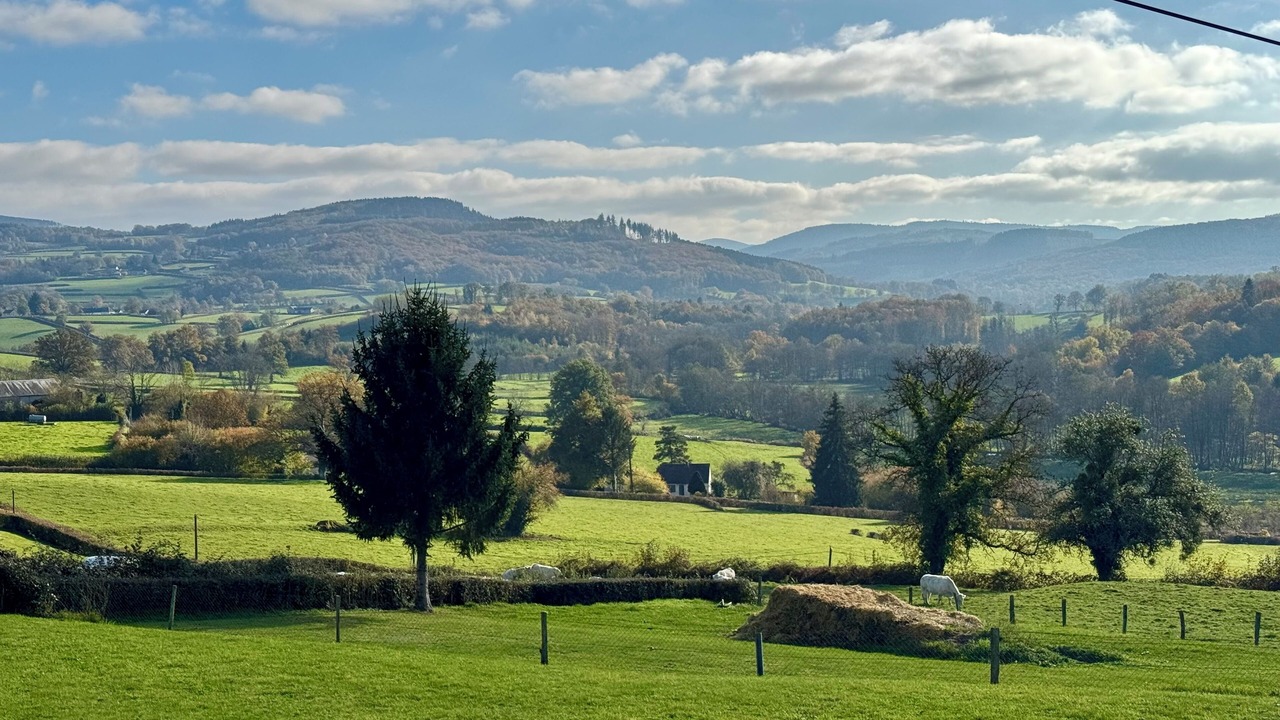 Photo of Others in Chateau-Chinon