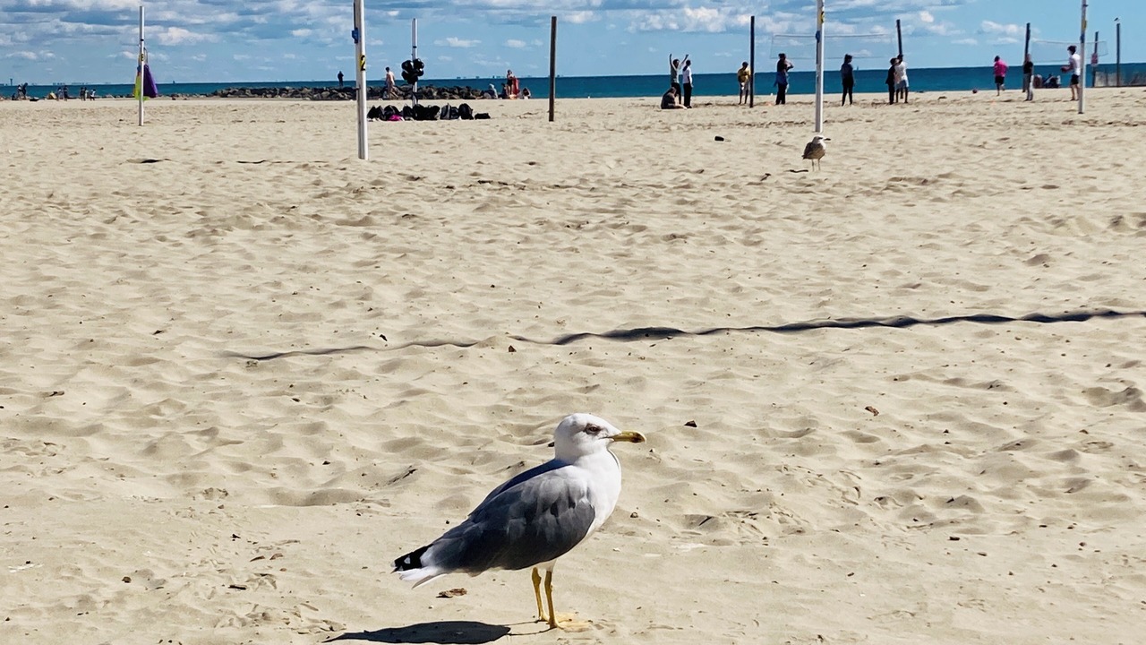 Photo of Others in Castelnau-le-Lez