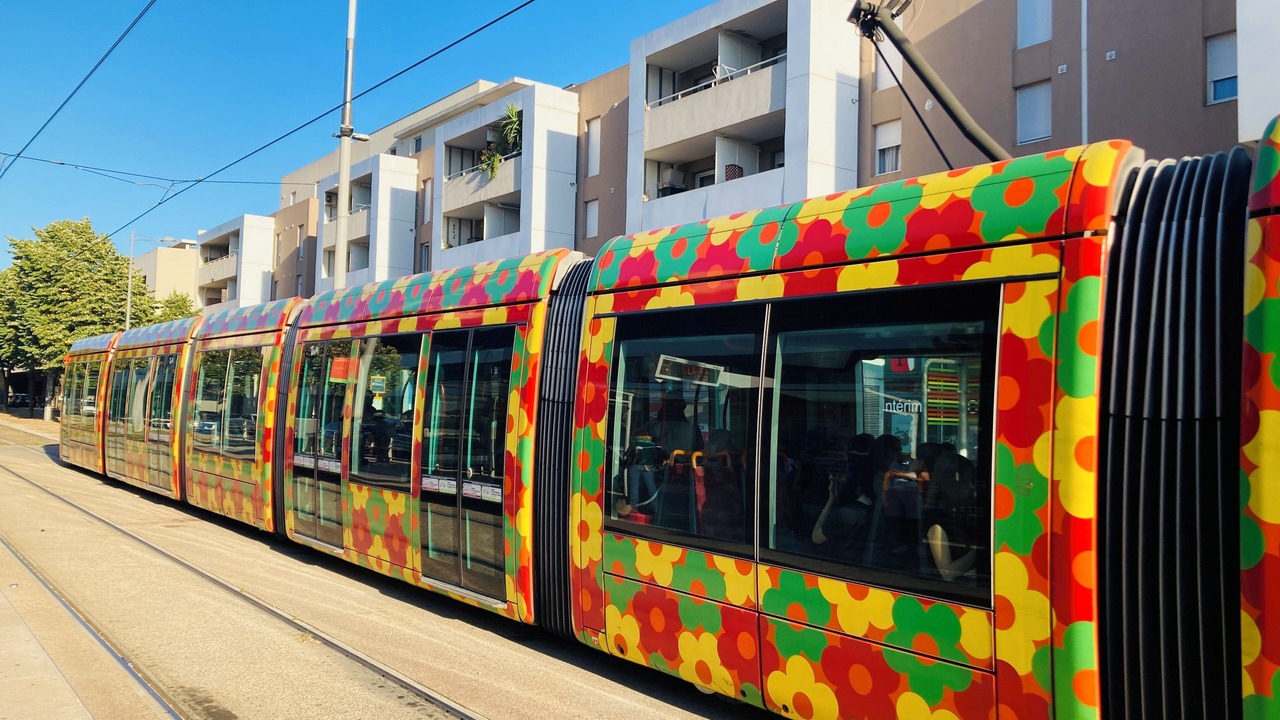 Photo of Others in Castelnau-le-Lez