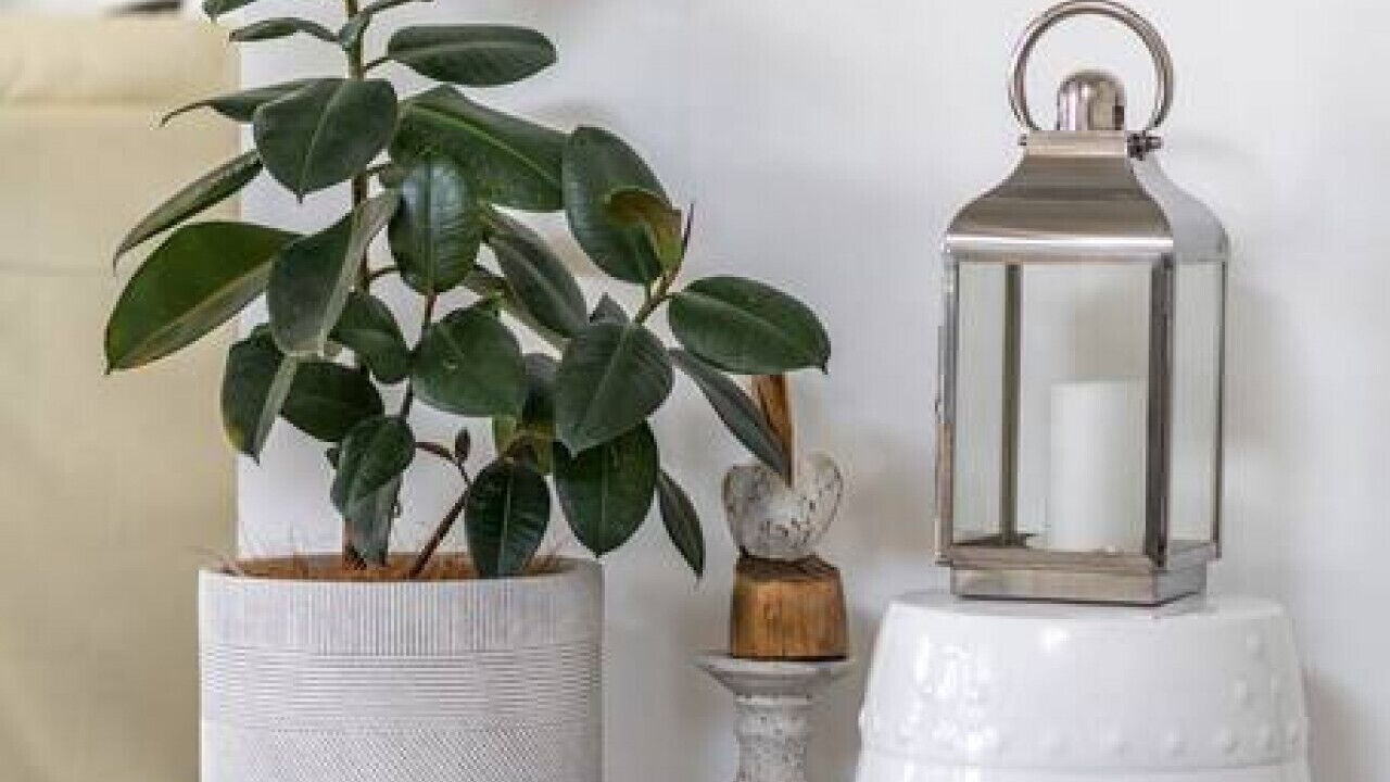 Photo of Others in Glenelg East