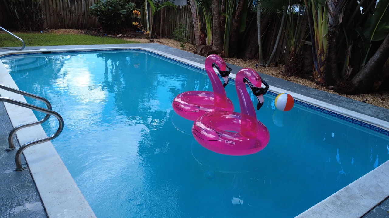 Photo of Outdoor in Royal Poinciana