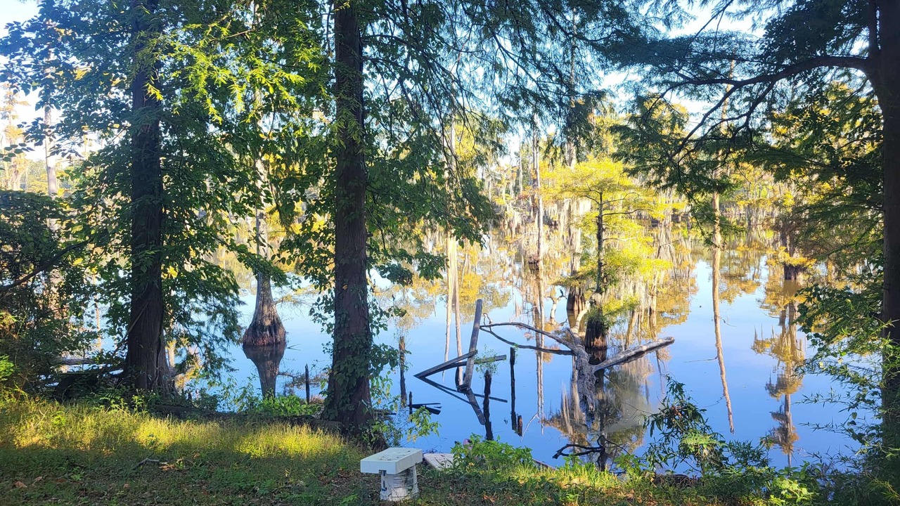 Photo of Others in Monroe