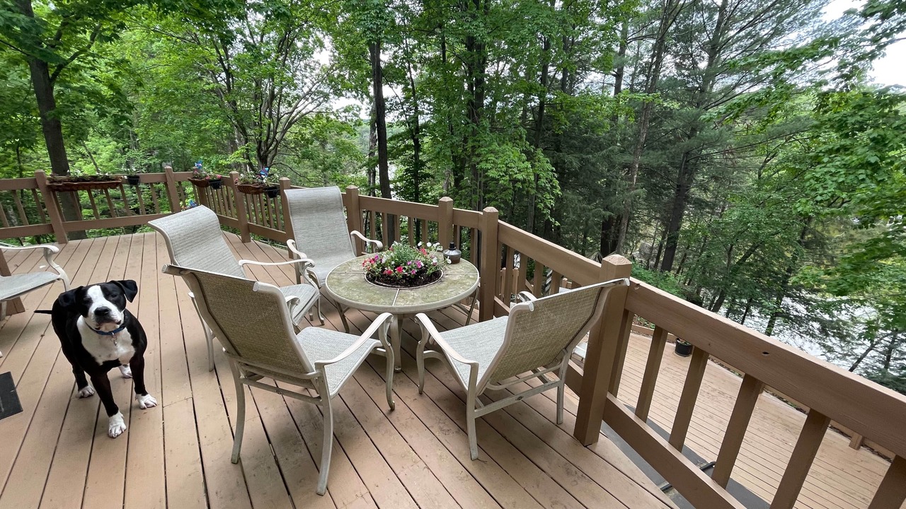 Photo of Others in Leland