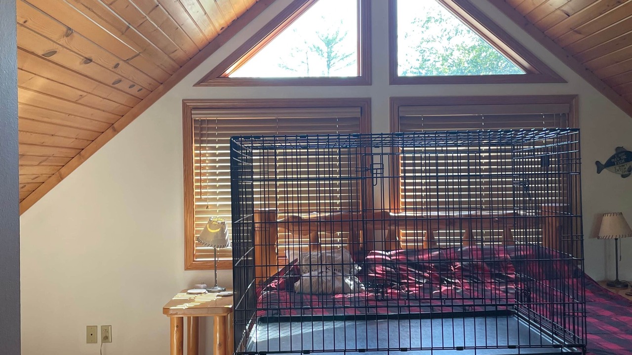 Photo of Others in Leland