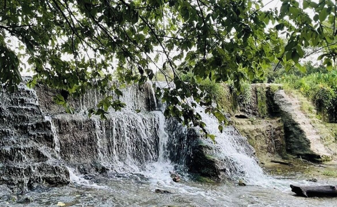 Photo of Others in Brushy Creek
