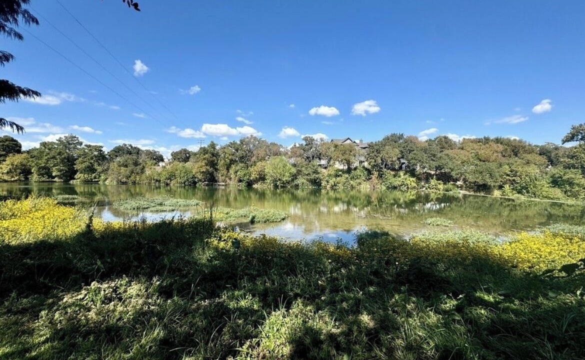 Photo of Others in Brushy Creek