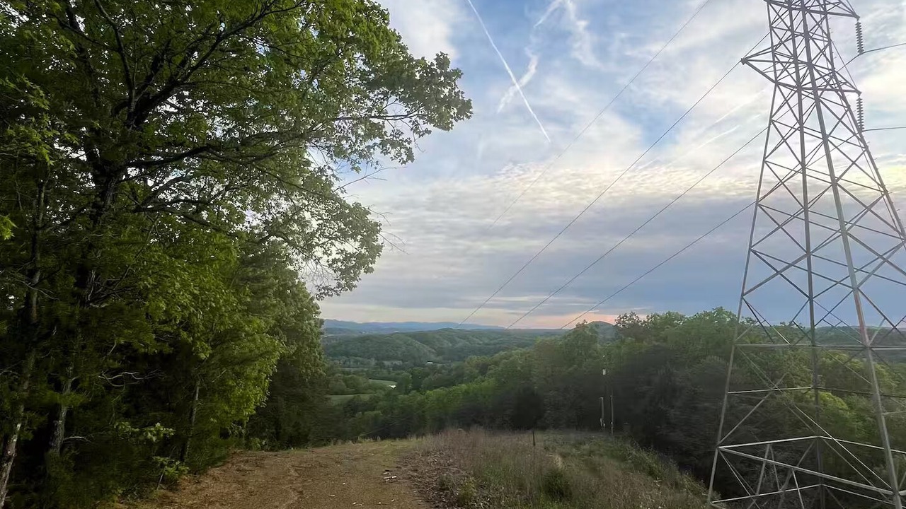 Photo of Others in Johnson City
