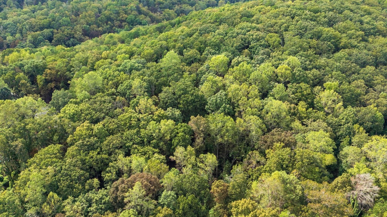 Photo of Outdoor in Collegedale