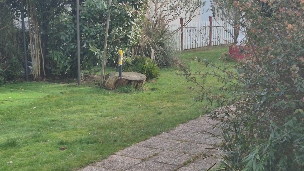 Photo of Outdoor in Meusnes