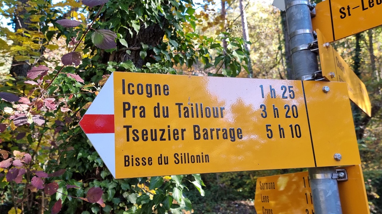 Photo of Others in Chamoson
