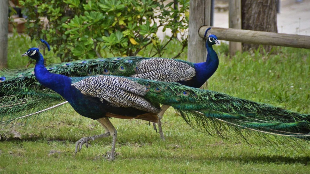 Photo of Others in Saint-Gilles