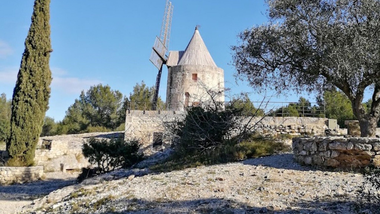Photo of Others in Saint-Martin-de-Crau