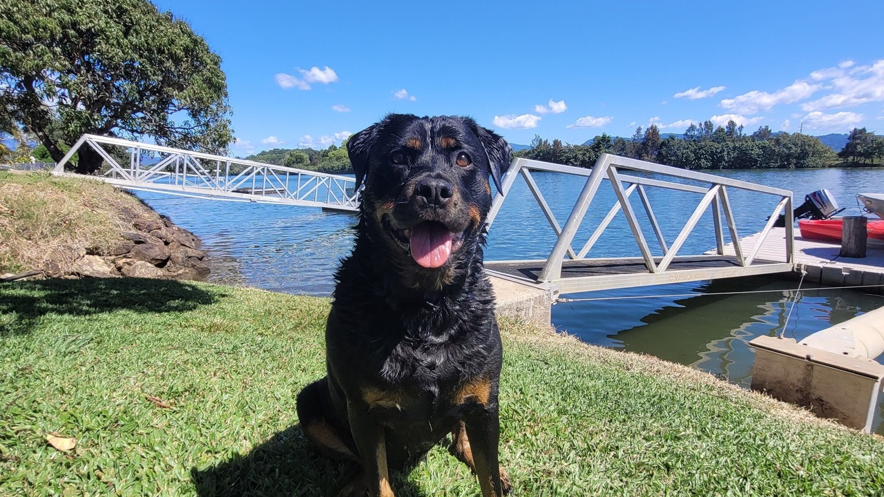 Photo of Others in South Murwillumbah