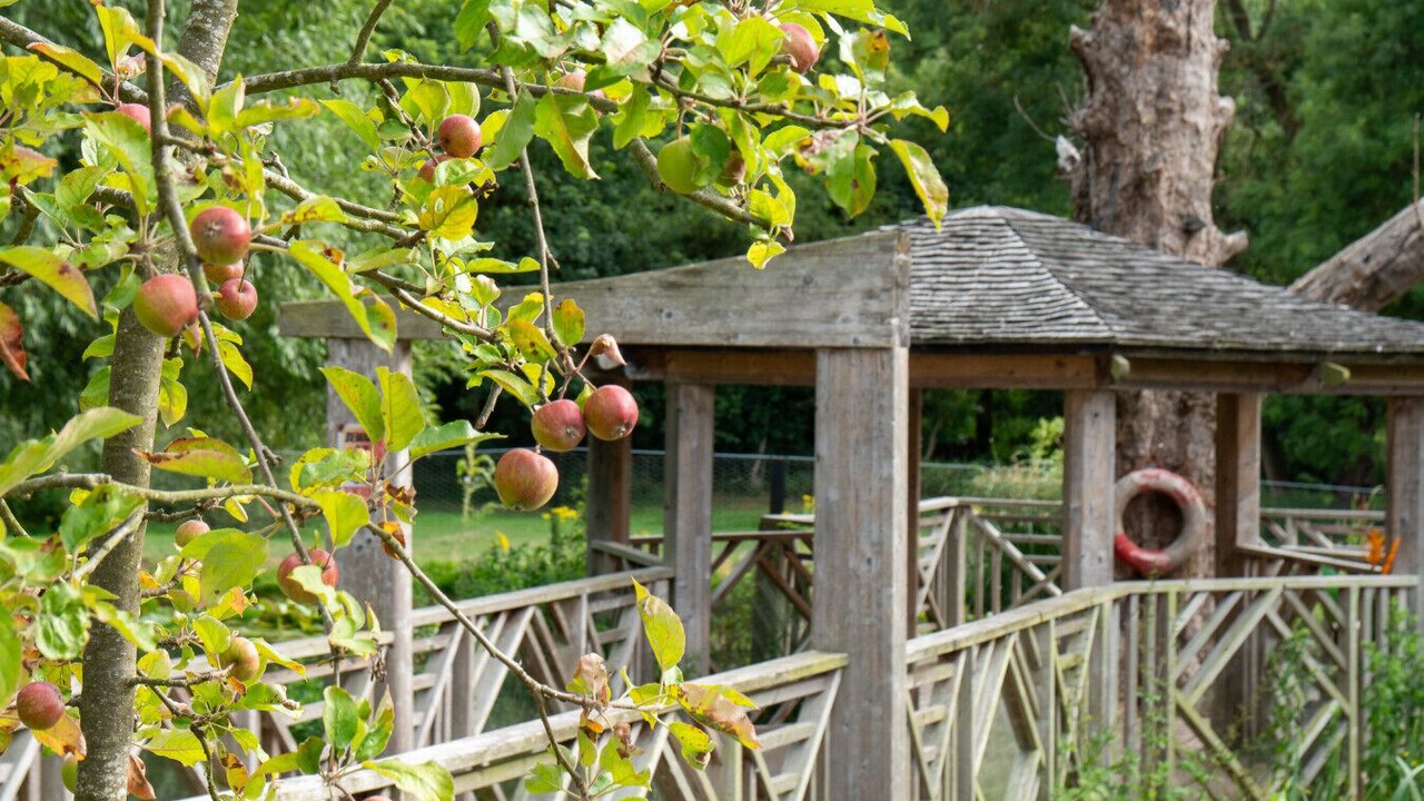 Photo of Outdoor in Saffron Walden