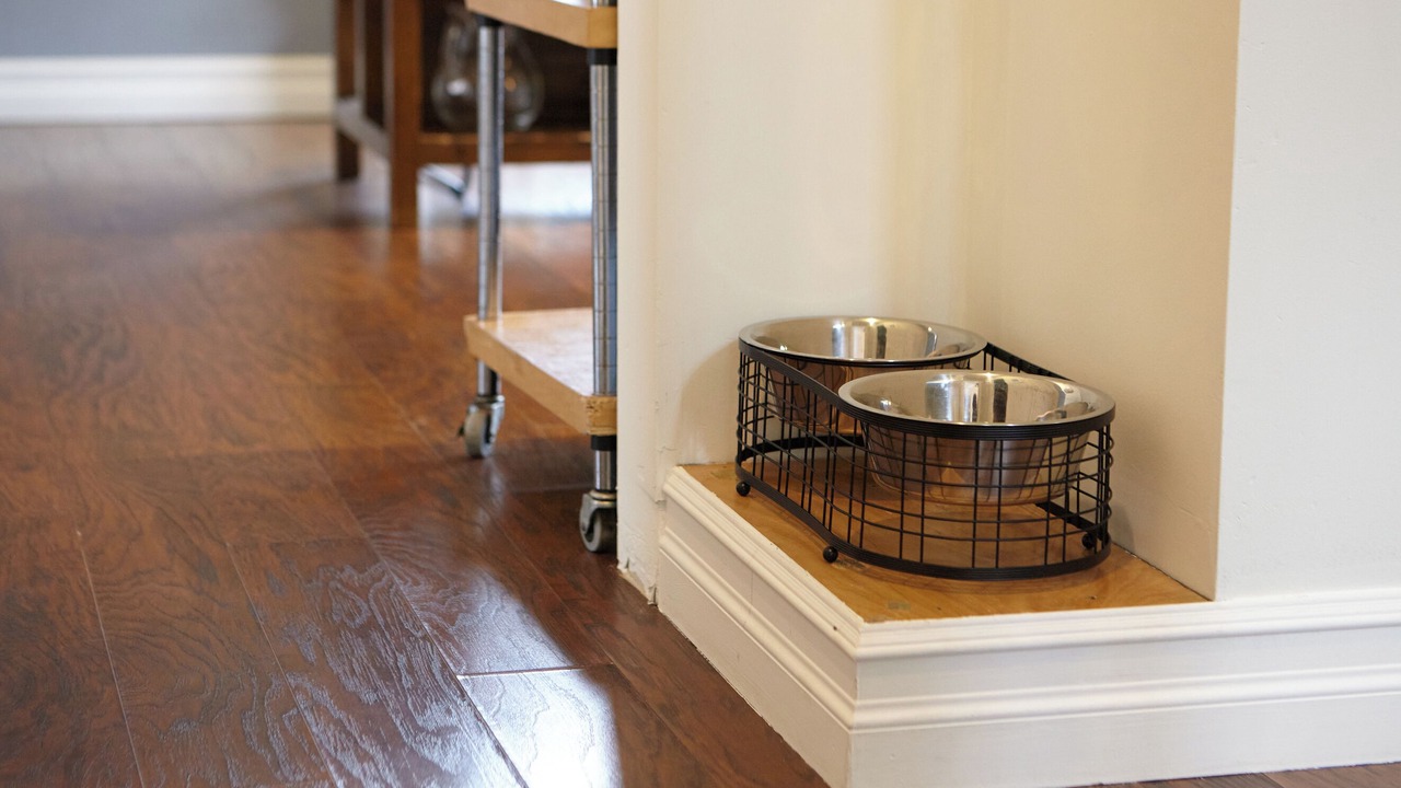 Photo of Others in Olde Town