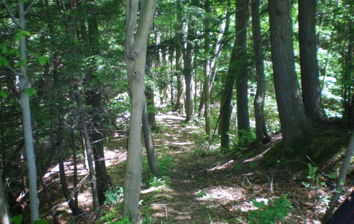 Photo of Others in St. Williams