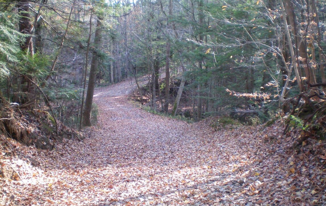 Photo of Others in St. Williams