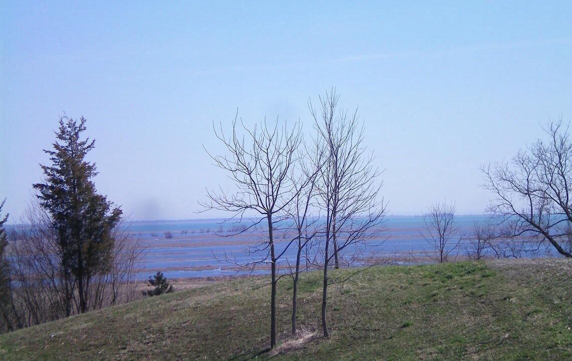 Photo of Others in St. Williams