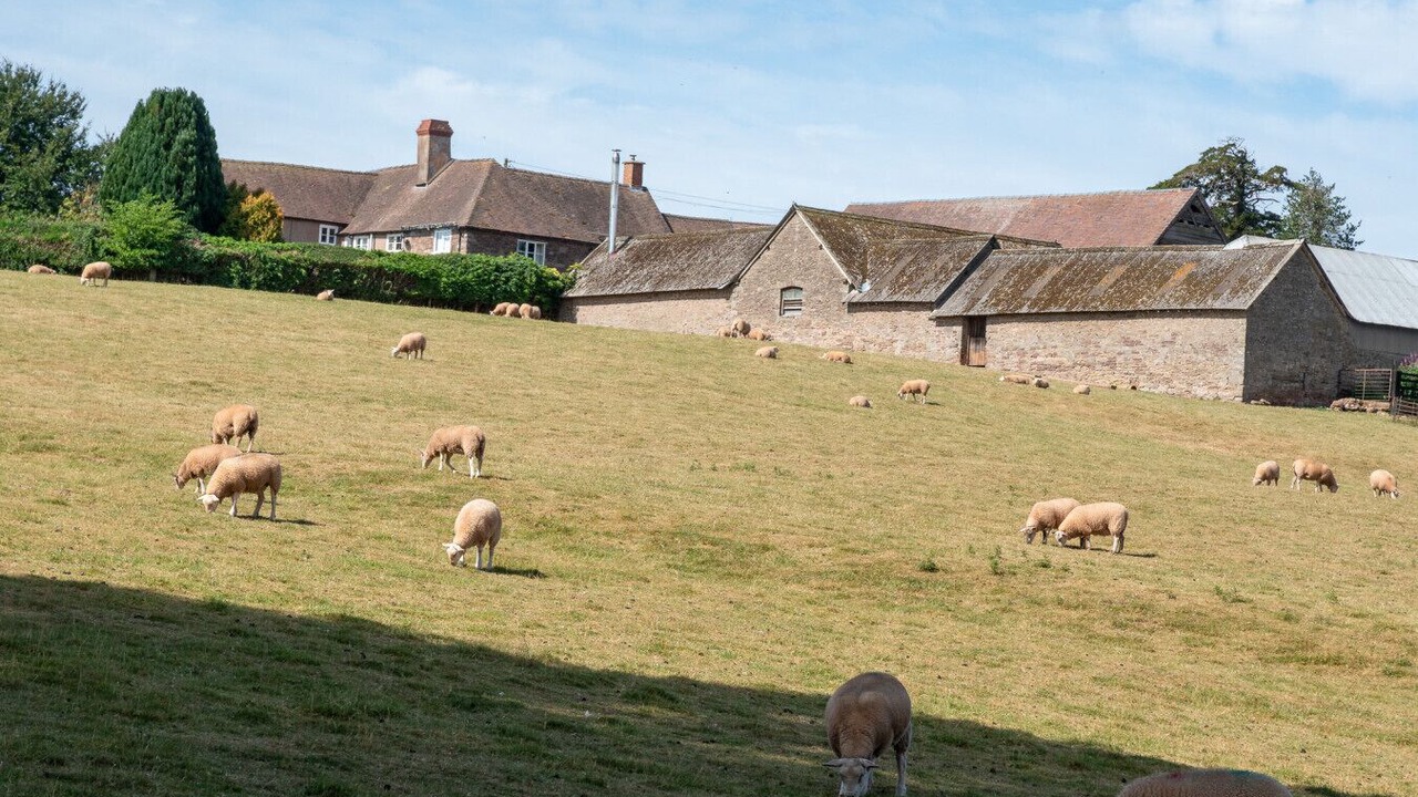 Photo of Others in Hereford