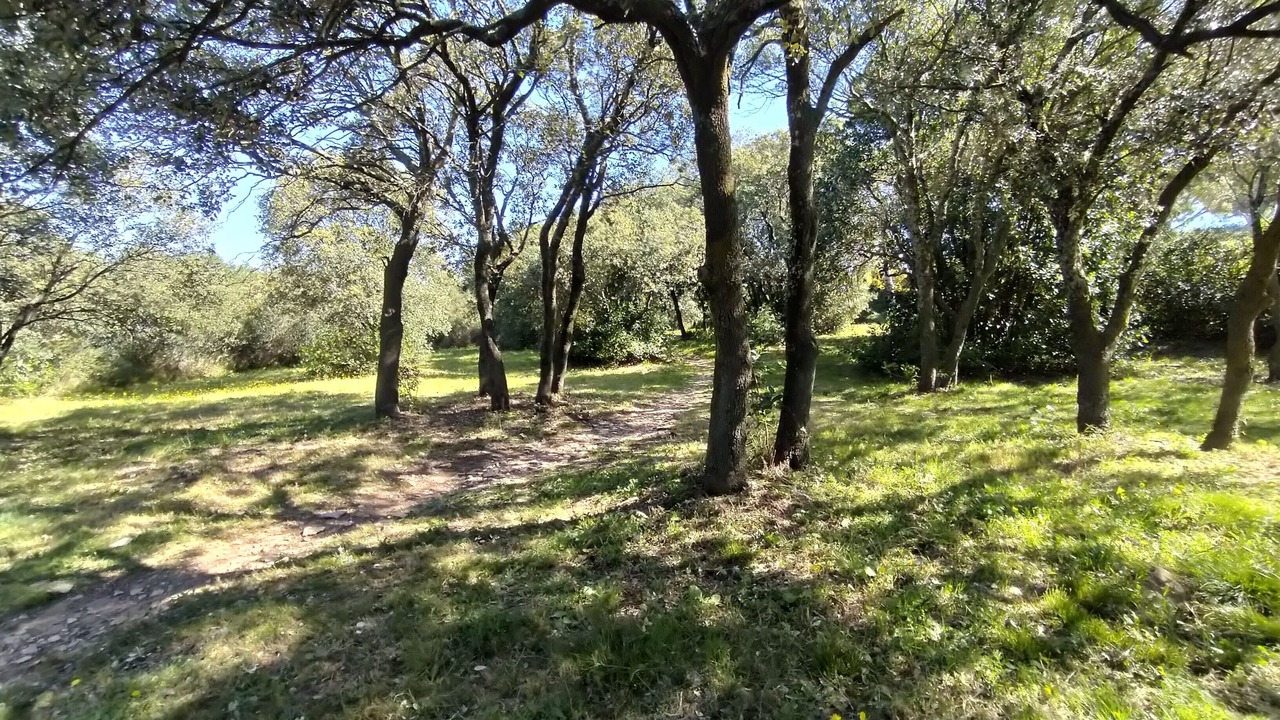 Photo of Others in Calvisson