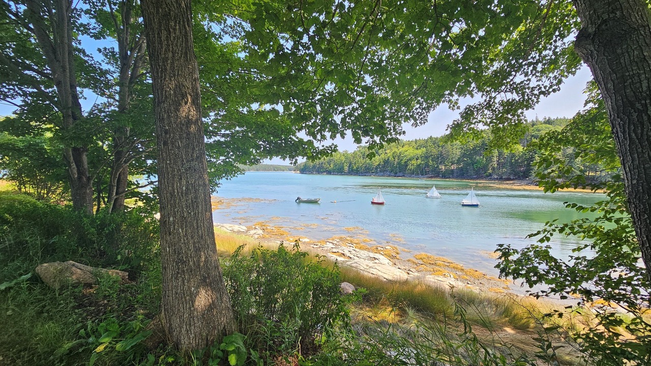 Photo of Others in Deer Isle