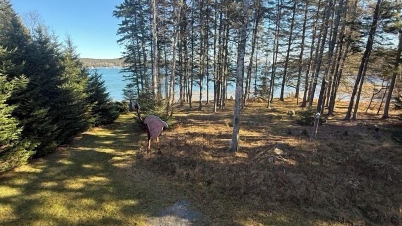 Photo of Others in Stonington