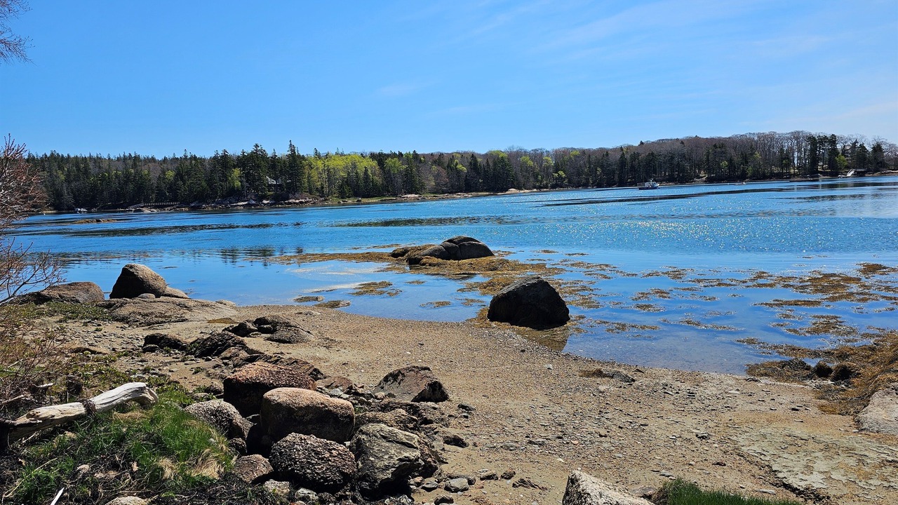 Photo of Others in Deer Isle