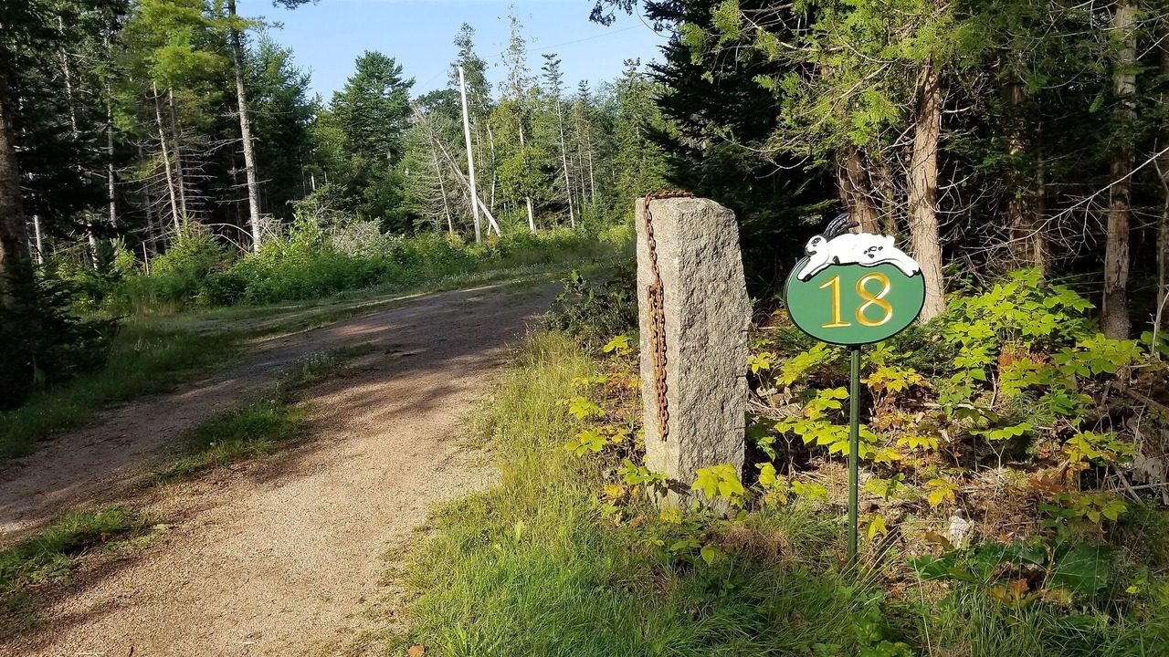 Photo of Others in Sedgwick