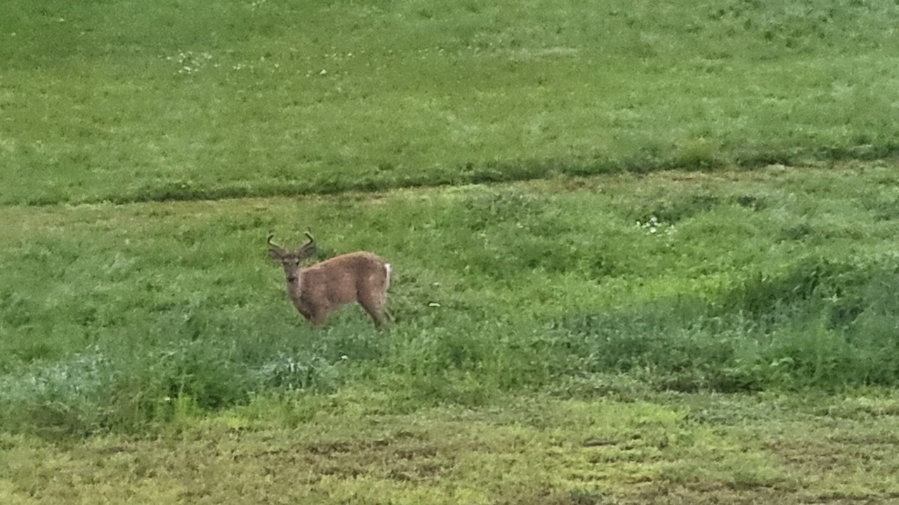 Photo of Others in Sedgwick