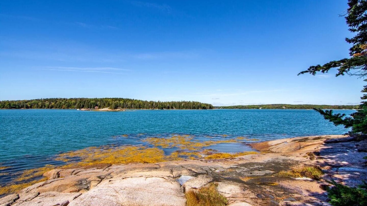 Photo of Others in Stonington