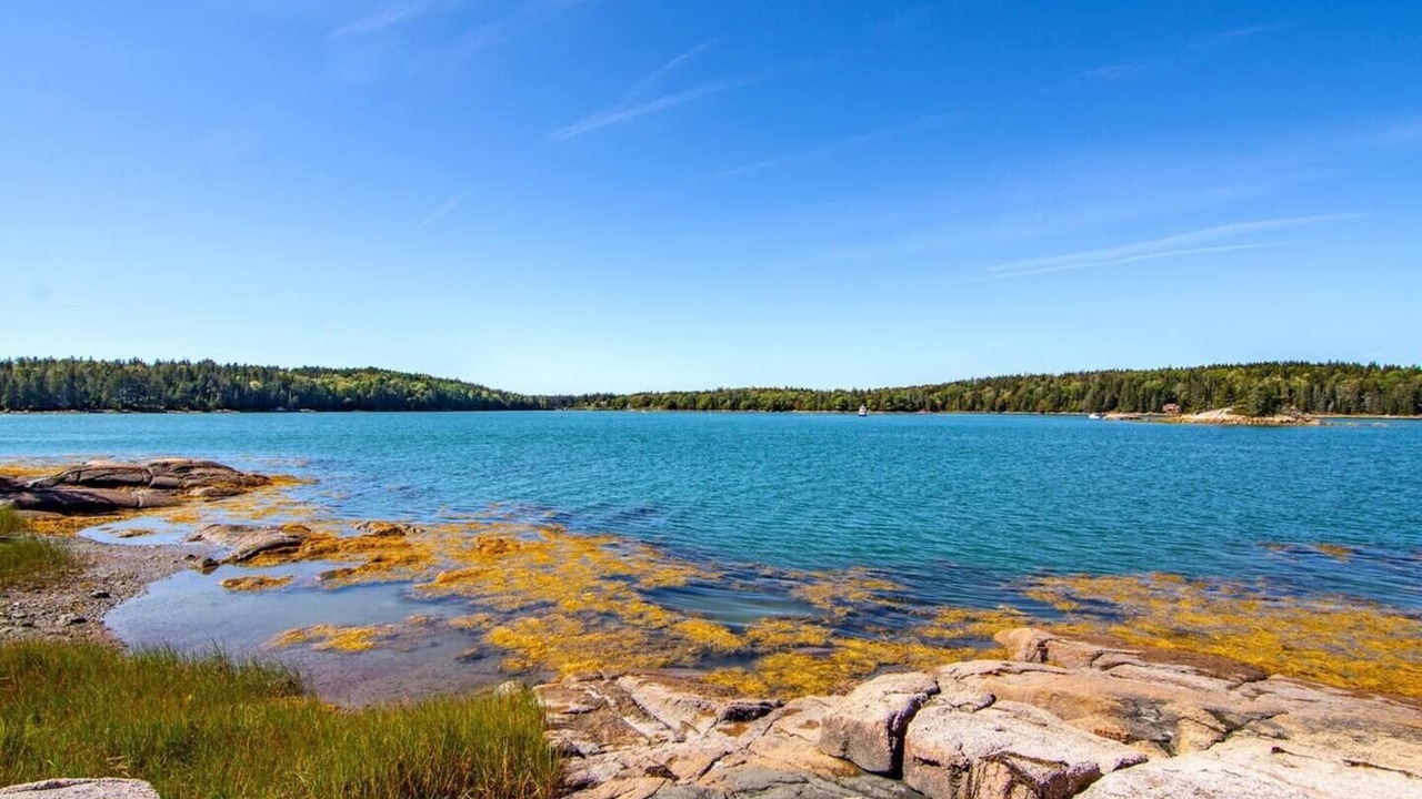 Photo of Others in Stonington