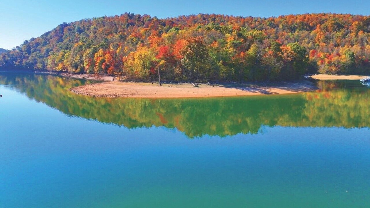 Photo of Others in New Tazewell
